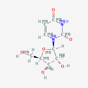 Chemical structure of Uridine-13C9, 15N2