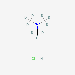 Chemical structure of Trimethylammonium chloride-d9