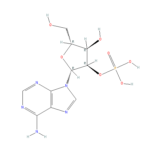 Chemical structure of Adenosine 2'(3')-monophosphate