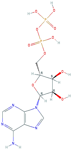 Chemical structure of Adenosine 5'-diphosphate (potassium salt hydrate)