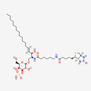 Chemical structure of C6 Biotin 3'-sulfo Galactosylceramide (d18:1/6:0)