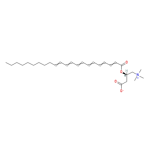 Chemical structure of Docosahexaenoyl-L-carnitine (chloride)