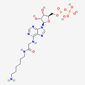 Chemical structure of N6-[(6-Aminohexyl)carbamoylmethyl]-ADP