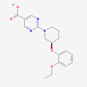 Chemical structure of (R)-2-(3-(2-Ethoxyphenoxy)piperidin-1-yl)pyrimidine-5-carboxylic Acid
