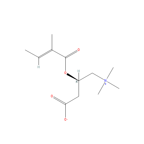 Chemical structure of Tigloyl-L-carnitine (chloride)