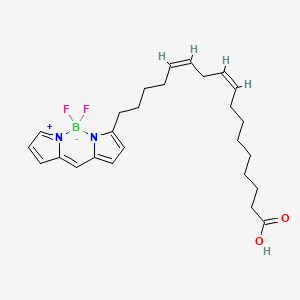 Chemical structure of BODIPY-Linoleate