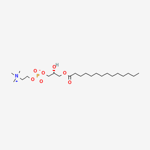 Chemical structure of 1-Myristoyl-d7-2-hydroxy-sn-glycero-3-PC