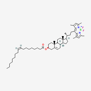 Chemical structure of BODIPY 480/508-Cholesteryl Oleate