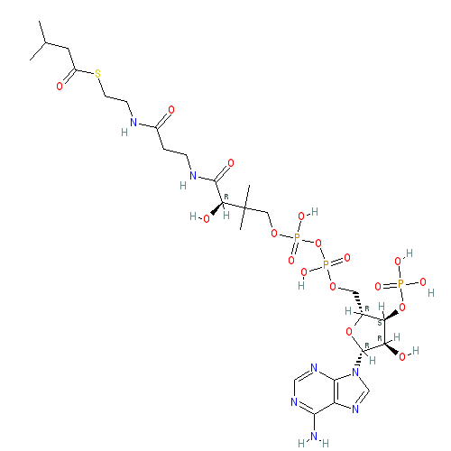 Chemical structure of Isovaleryl-Coenzyme A (sodium salt)