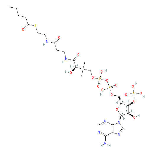 Chemical structure of Pentanoyl-Coenzyme A (sodium salt)