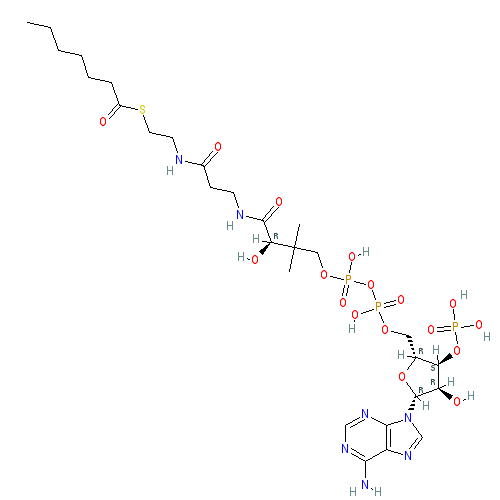 Chemical structure of Heptanoyl-Coenzyme A (sodium salt)