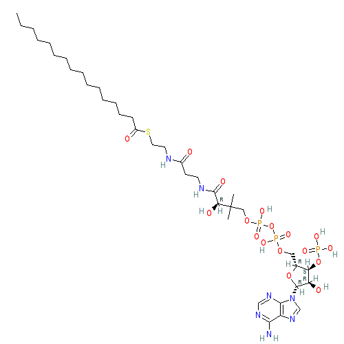 Chemical structure of Palmitoyl-Coenzyme A (sodium salt)