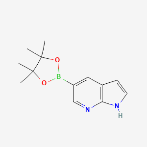 Chemical structure of 7-Azaindole-5-boronic acid pinacol ester