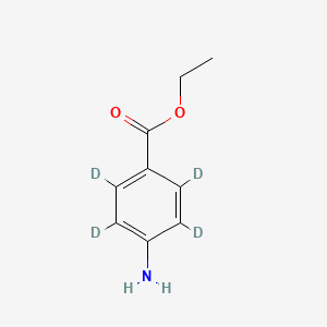 Chemical structure of Benzocaine-d4