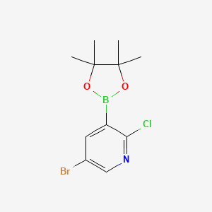 Chemical structure of 5-Bromo-2-chloropyridine-3-boronic acid pinacol ester