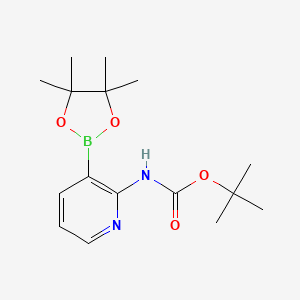 Chemical structure of 2-(Boc-amino)pyridine-3-boronic acid pinacol ester