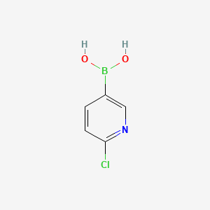 Chemical structure of 6-Chloro-3-pyridinylboronic acid(contains varying amounts of Anhydride)