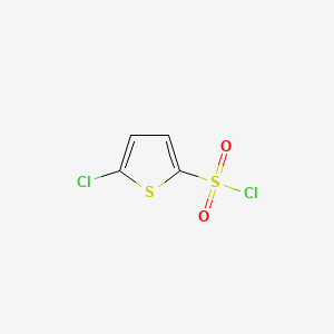 Chemical structure of 5-Chloro-2-thiophenesulfonyl chloride