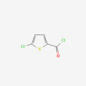 Chemical structure of 5-Chlorothiophene-2-carbonyl chloride