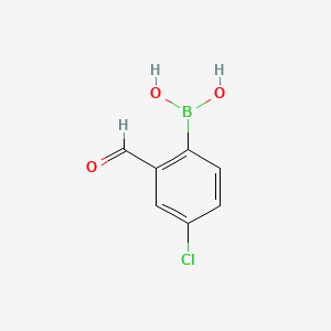 Chemical structure of 4-Chloro-2-formylphenylboronic Acid (contains varying amounts of Anhydride)
