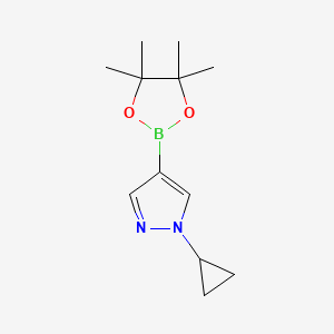 Chemical structure of 1-Cyclopropyl-4-(4,4,5,5-tetramethyl-1,3,2-dioxaborolan-2-yl)-1H-pyrazole