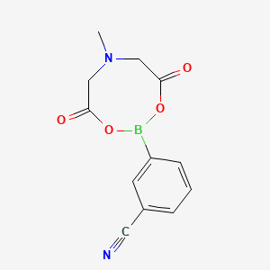 Chemical structure of 3-Cyanophenylboronic acid MIDA ester