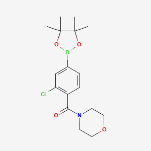 Chemical structure of 3-Chloro-4-(morpholinocarbonyl)phenylboronic acid pinacol ester