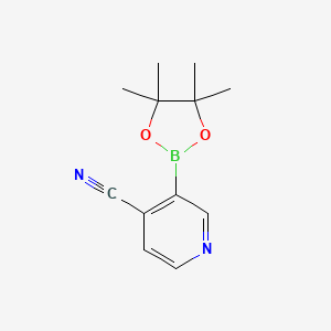 Chemical structure of 4-Cyanopyridine-3-boronic acid pinacol ester