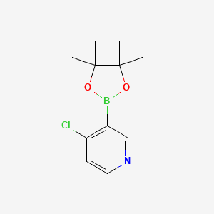 Chemical structure of 4-Chloropyridine-3-boronic acid pinacol ester