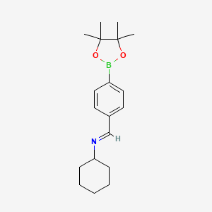 Chemical structure of 4-(Cyclohexyliminomethyl)benzeneboronic acid pinacol ester