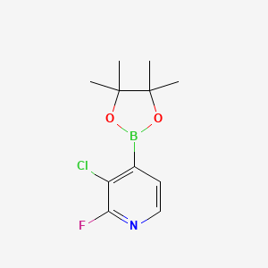 Chemical structure of 3-Chloro-2-fluoropyridine-4-boronic acid pinacol ester