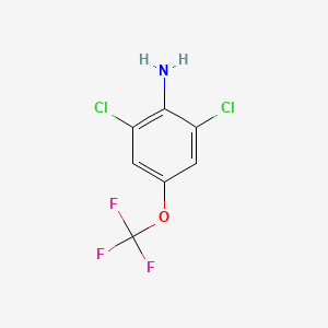 Chemical structure of 2,6-Dichloro-4-(trifluoromethoxy)aniline
