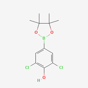 Chemical structure of 2,6-Dichloro-4-(4,4,5,5-tetramethyl-1,3,2-dioxaborolan-2-yl)phenol
