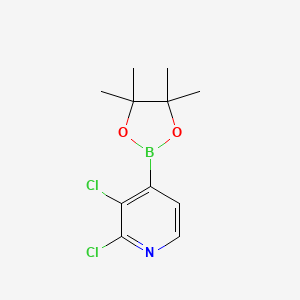 Chemical structure of 2,3-Dichloropyridine-4-boronic acid pinacol ester