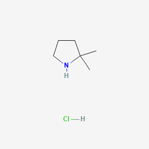 Chemical structure of 2,2-dimethylpyrrolidine hydrochloride