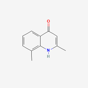 Chemical structure of 2,8-Dimethyl-4-hydroxyquinoline