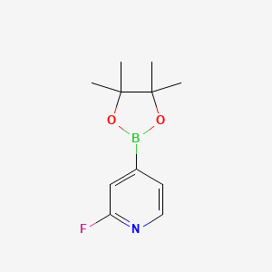 Chemical structure of 2-Fluoropyridine-4-boronic acid pinacol ester
