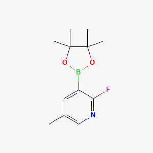 Chemical structure of 2-Fluoro-5-methylpyridine-3-boronic acid, pinacol ester