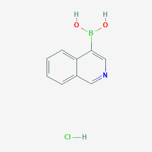 Chemical structure of 4-Isoquinolineboronic acid hydrochloride
