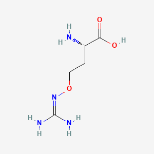 Chemical structure of L-Canavanine