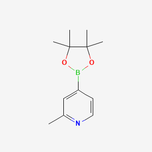 Chemical structure of 2-Methylpyridine-4-boronic acid pinacol ester