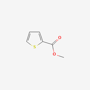 Chemical structure of Methyl 2-Thiophenecarboxylate