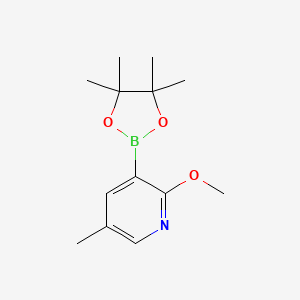 Chemical structure of 2-Methoxy-5-methylpyridine-3-boronic acid pinacol ester