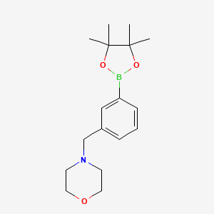 Chemical structure of 3-(4-Morpholinomethyl)phenylboronic acid pinacol ester