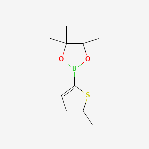 Chemical structure of 5-Methylthiophene-2-boronic acid pinacol ester