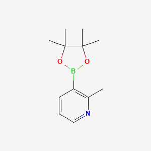 Chemical structure of 2-methyl-3-(tetramethyl-1,3,2-dioxaborolan-2-yl)pyridine
