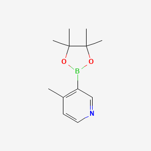 Chemical structure of 4-methyl-3-(tetramethyl-1,3,2-dioxaborolan-2-yl)pyridine