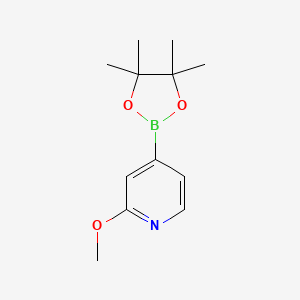 Chemical structure of 2-Methoxy-4-(4,4,5,5-tetramethyl-1,3,2-dioxaborolan-2-yl)pyridine