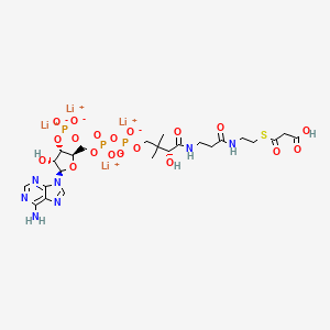 Chemical structure of Malonyl coenzyme A tetralithium salt