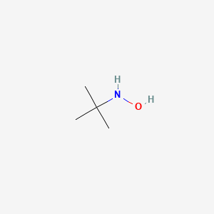 Chemical structure of N-Tert-Butylhydroxylamine